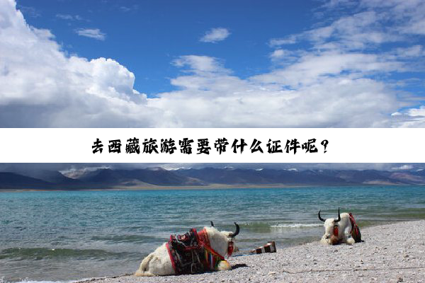 去西藏旅游需要带什么证件呢？