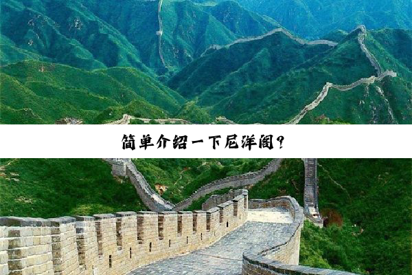 简(jiǎn)单(dān)介(jiè)绍(shào)一(yī)下(xià)尼(ní)洋(yáng)阁(gé)？