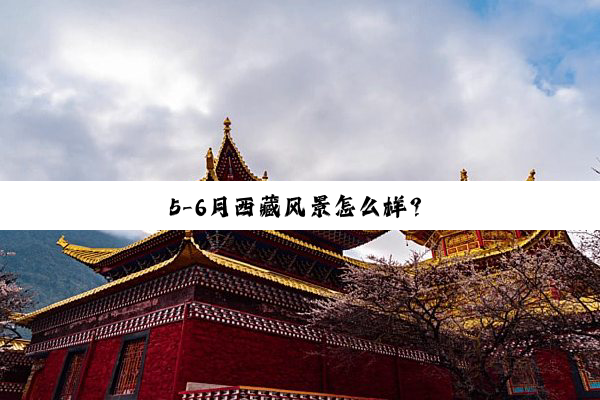 5-6月西藏风景怎么样？