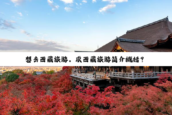 想去西藏旅游，求西藏旅游简介概括？
