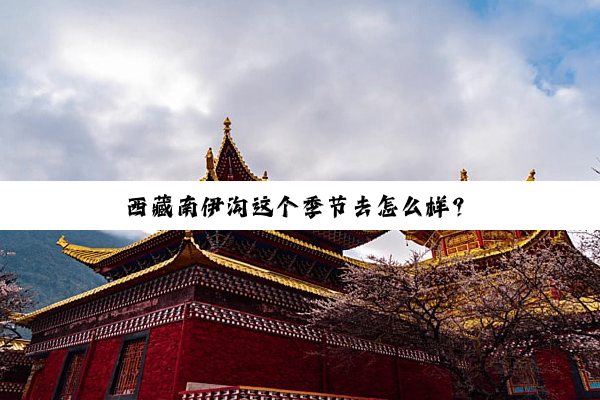 西藏南伊沟这个季节去怎么样？