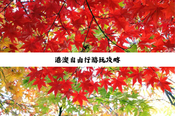 港(gǎng)澳(ào)自(zì)由(yóu)行(xíng)游(yóu)玩(wán)攻(gōng)略(è)